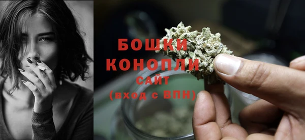 соль ск Зеленодольск
