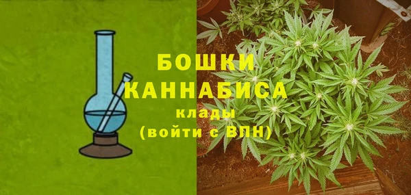 соль ск Зеленодольск