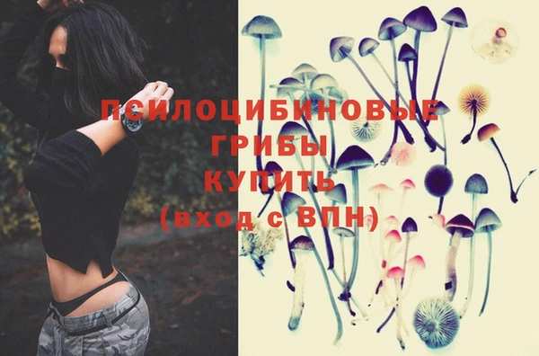 MESCALINE Зеленокумск