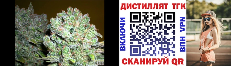 Купить где  Очёр  Дистиллят ТГК концентрат 