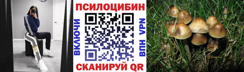 Галлюциногенные грибы MAGIC MUSHROOMS  Купить закладки  Очёр 